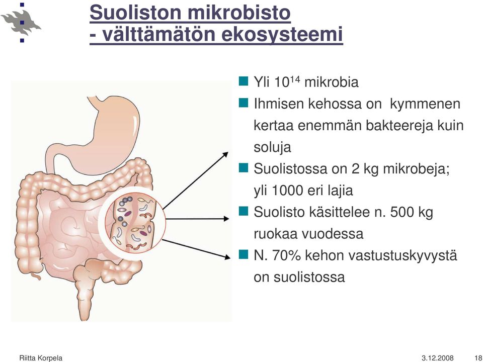 kg mikrobeja; yli 1000 eri lajia Suolisto käsittelee n.