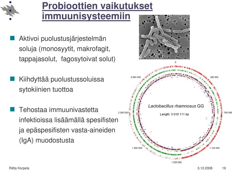 puolustussoluissa sytokiinien tuottoa Tehostaa immuunivastetta infektioissa