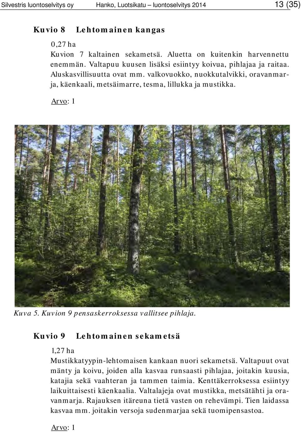 Kuvion 9 pensaskerroksessa vallitsee pihlaja. Kuvio 9 Lehtomainen sekametsä 1,27 ha Mustikkatyypin-lehtomaisen kankaan nuori sekametsä.