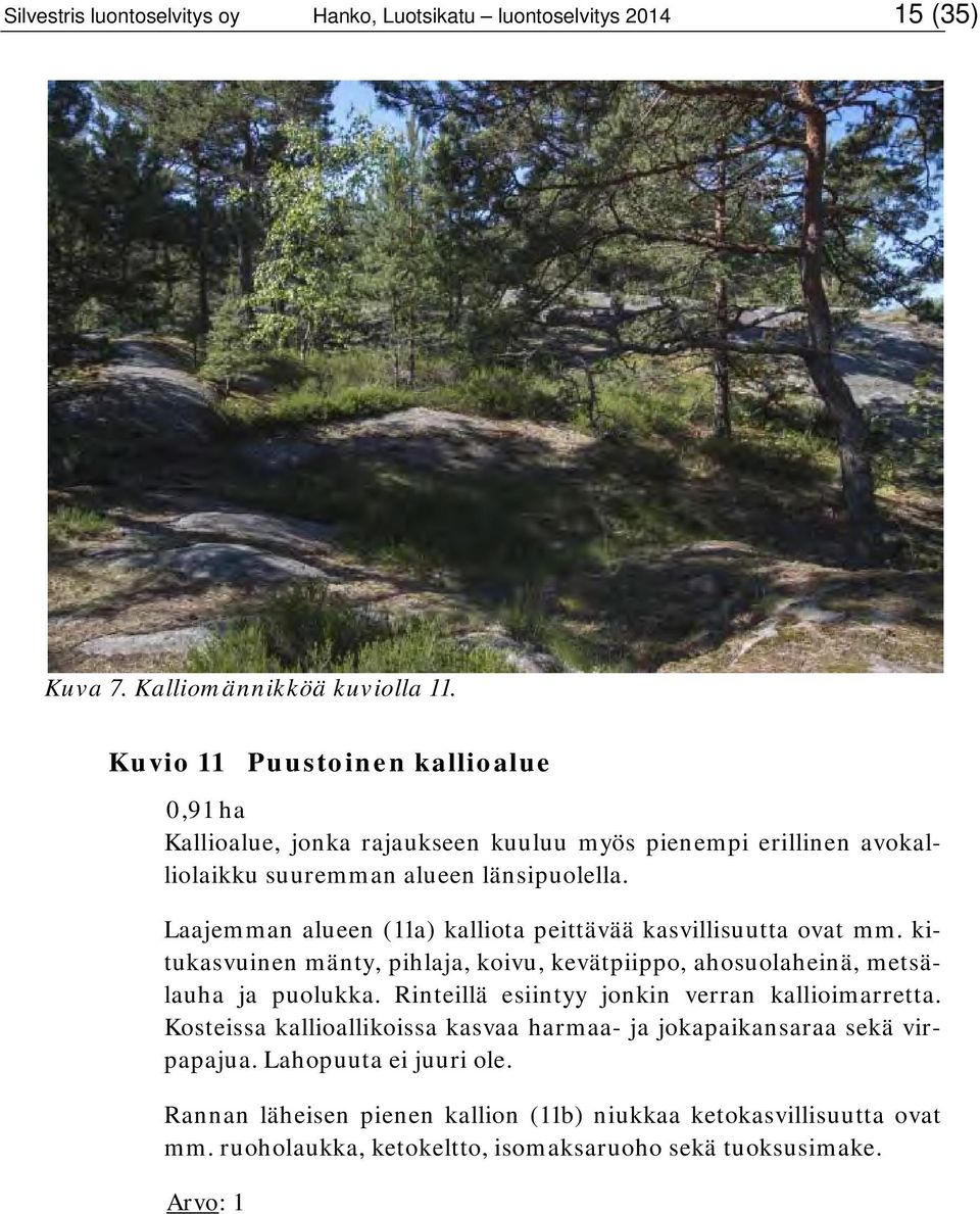 Laajemman alueen (11a) kalliota peittävää kasvillisuutta ovat mm. kitukasvuinen mänty, pihlaja, koivu, kevätpiippo, ahosuolaheinä, metsälauha ja puolukka.