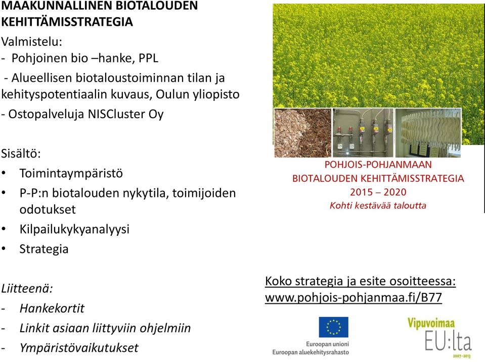 Toimintaympäristö P-P:n biotalouden nykytila, toimijoiden odotukset Kilpailukykyanalyysi Strategia Liitteenä: -