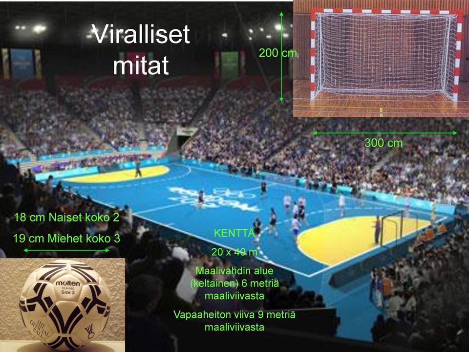 Maalivahdin alue (keltainen) 6 metriä