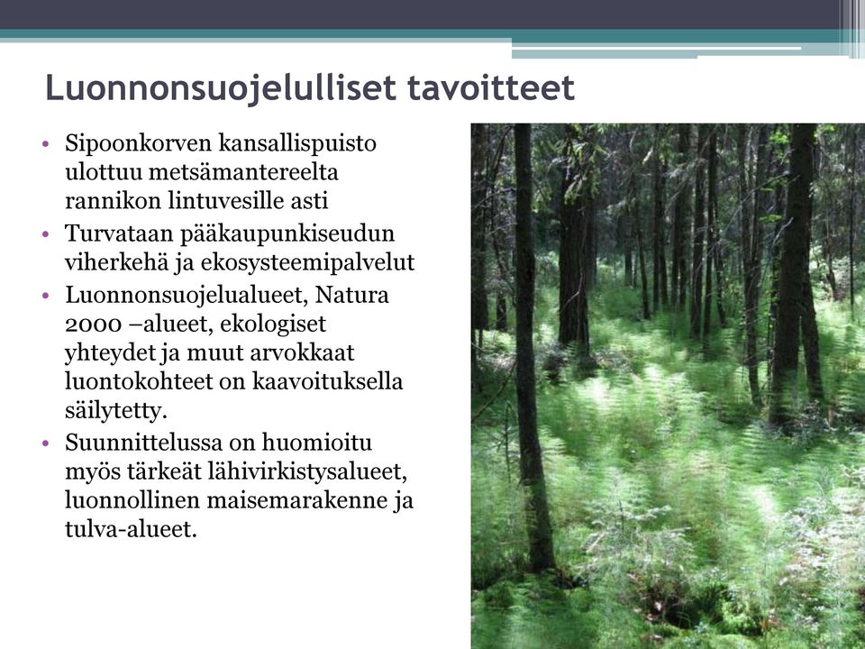 Natura 2000 alueet, ekologiset yhteydet ja muut arvokkaat luontokohteet on kaavoituksella säilytetty.