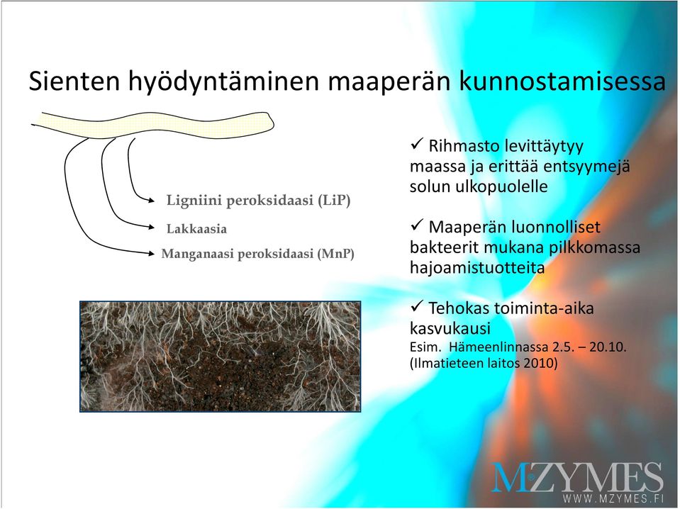 erittää entsyymejä solun ulkopuolelle Maaperän luonnolliset bakteerit mukana pilkkomassa