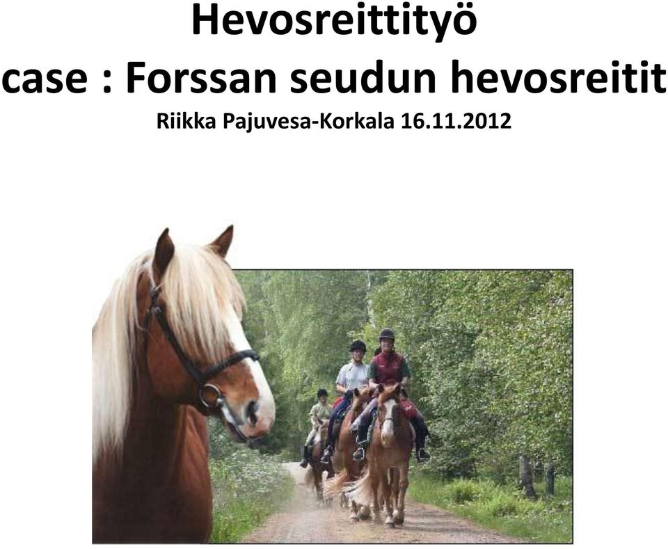 hevosreitit Riikka