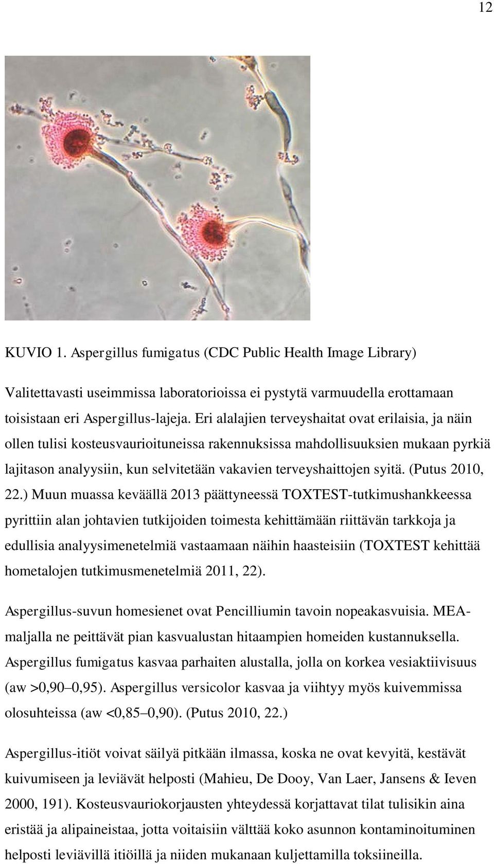 syitä. (Putus 2010, 22.