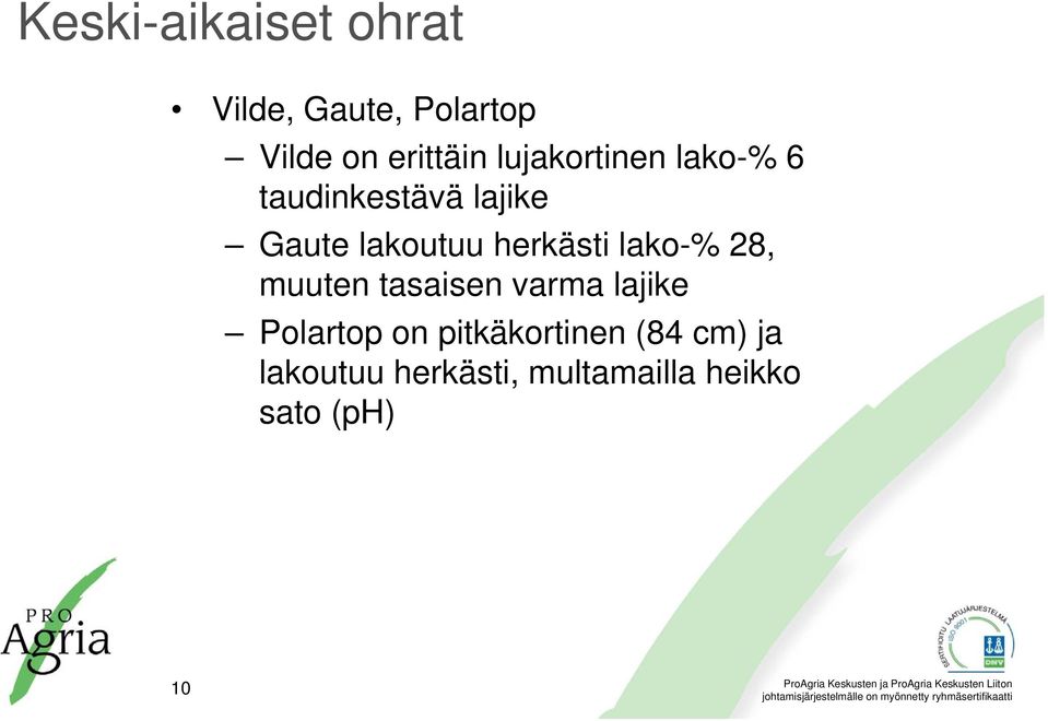 herkästi lako-% 28, muuten tasaisen varma lajike Polartop on