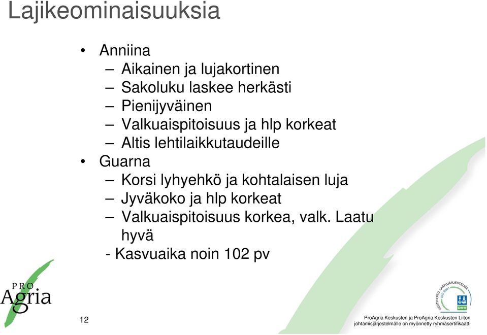 lehtilaikkutaudeille Guarna Korsi lyhyehkö ja kohtalaisen luja Jyväkoko