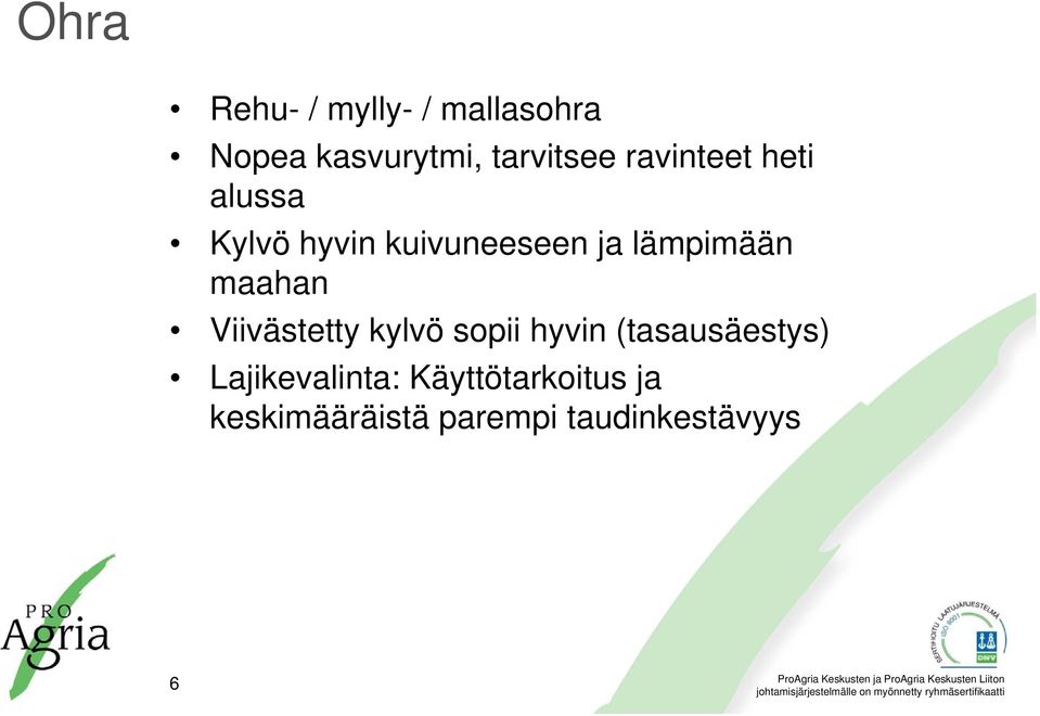 maahan Viivästetty kylvö sopii hyvin (tasausäestys)