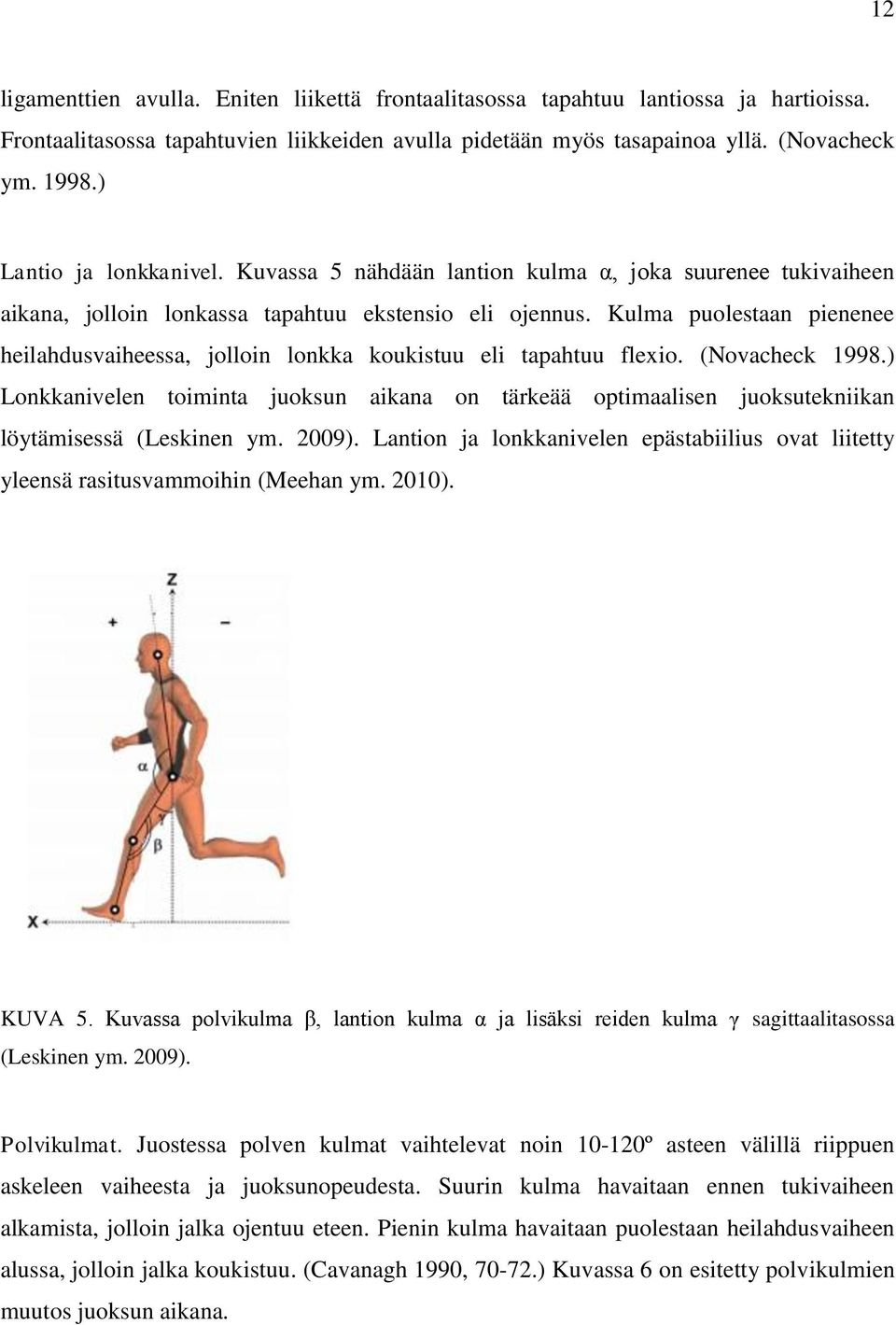 Kulma puolestaan pienenee heilahdusvaiheessa, jolloin lonkka koukistuu eli tapahtuu flexio. (Novacheck 1998.