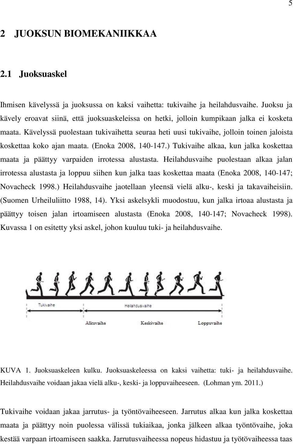 Kävelyssä puolestaan tukivaihetta seuraa heti uusi tukivaihe, jolloin toinen jaloista koskettaa koko ajan maata. (Enoka 2008, 140-147.