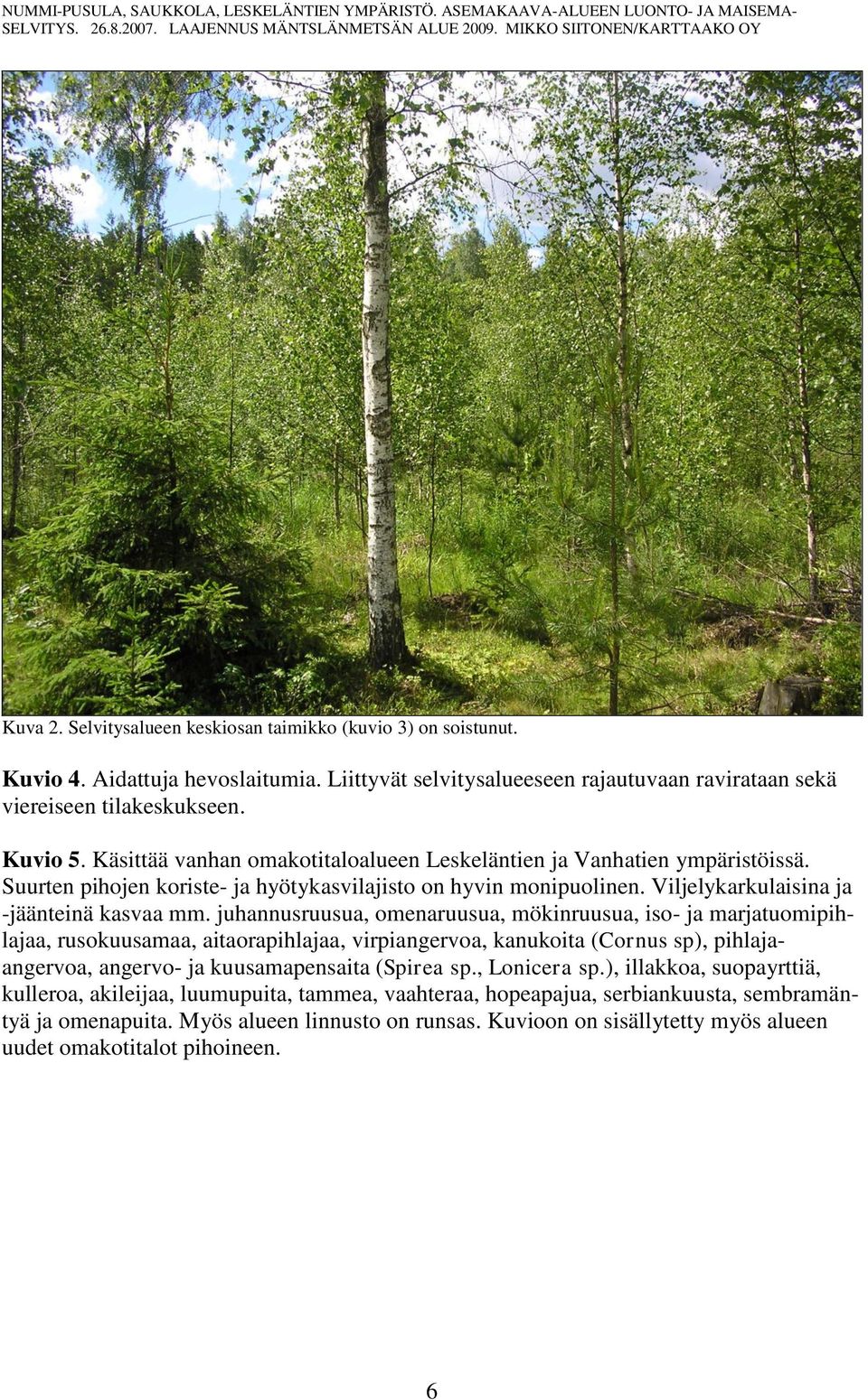 juhannusruusua, omenaruusua, mökinruusua, iso- ja marjatuomipihlajaa, rusokuusamaa, aitaorapihlajaa, virpiangervoa, kanukoita (Cornus sp), pihlajaangervoa, angervo- ja kuusamapensaita (Spirea sp.