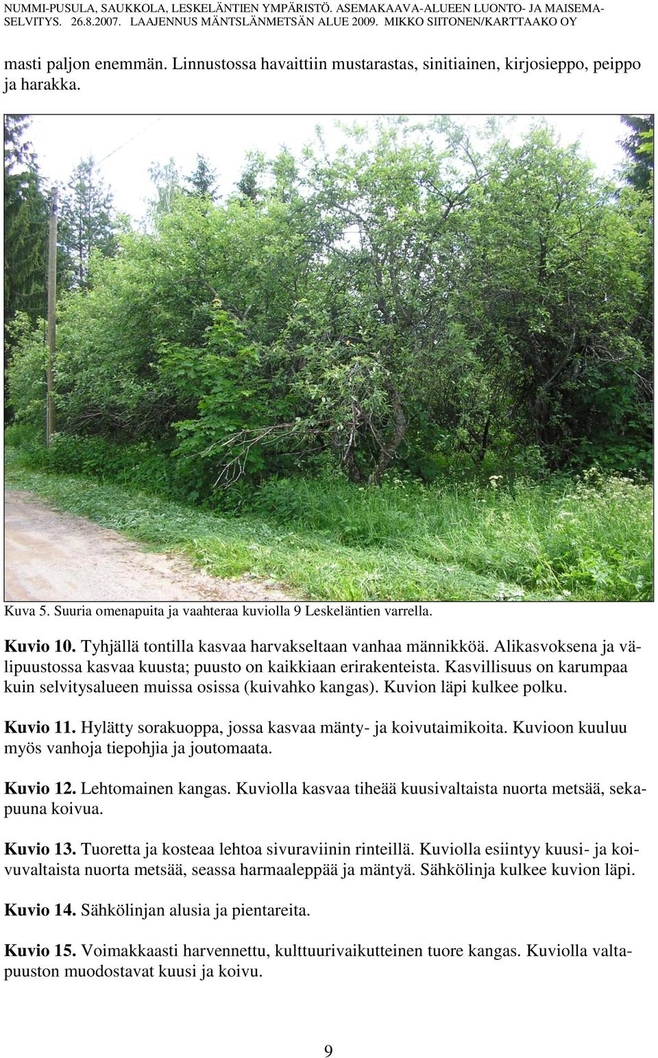 Kasvillisuus on karumpaa kuin selvitysalueen muissa osissa (kuivahko kangas). Kuvion läpi kulkee polku. Kuvio 11. Hylätty sorakuoppa, jossa kasvaa mänty- ja koivutaimikoita.