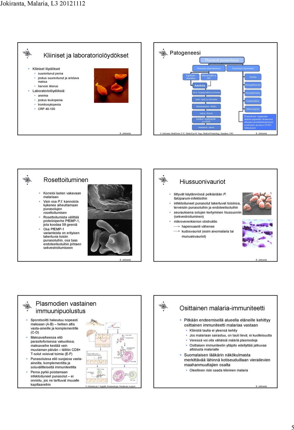 ikterus keuhkot: keuhkopöhö ja ARDS munuaiset: anuria Punasolujen hajoaminen Anemia Hemoglobinemia Hemoglobinuria Kuumereaktio Splenomegalia Punasoluista vapautunut malaria-pigmentti (hemazoin)