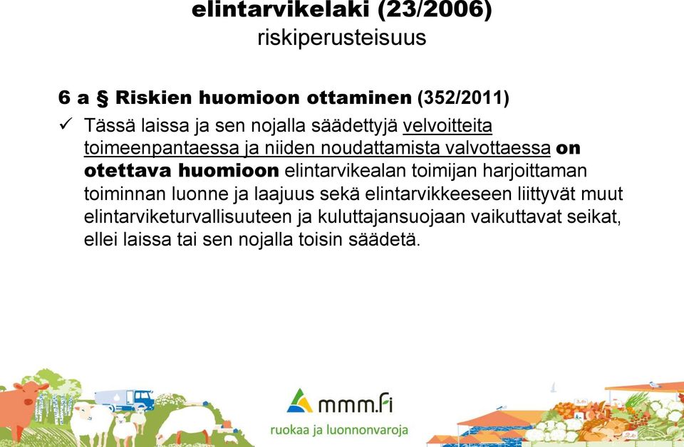 elintarvikealan toimijan harjoittaman toiminnan luonne ja laajuus sekä elintarvikkeeseen liittyvät muut