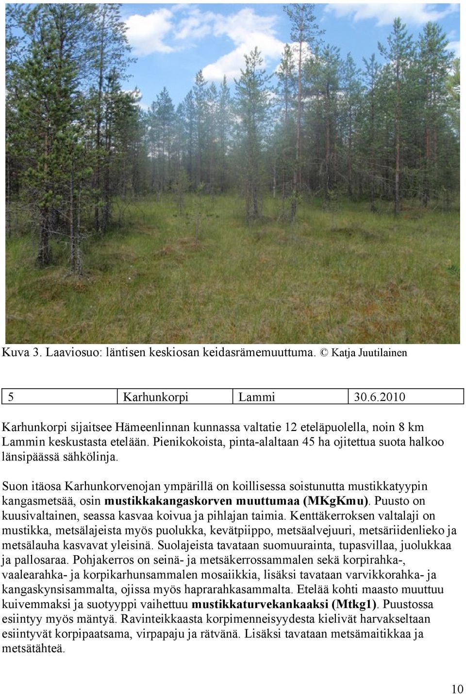 Suon itäosa Karhunkorvenojan ympärillä on koillisessa soistunutta mustikkatyypin kangasmetsää, osin mustikkakangaskorven muuttumaa (MKgKmu).