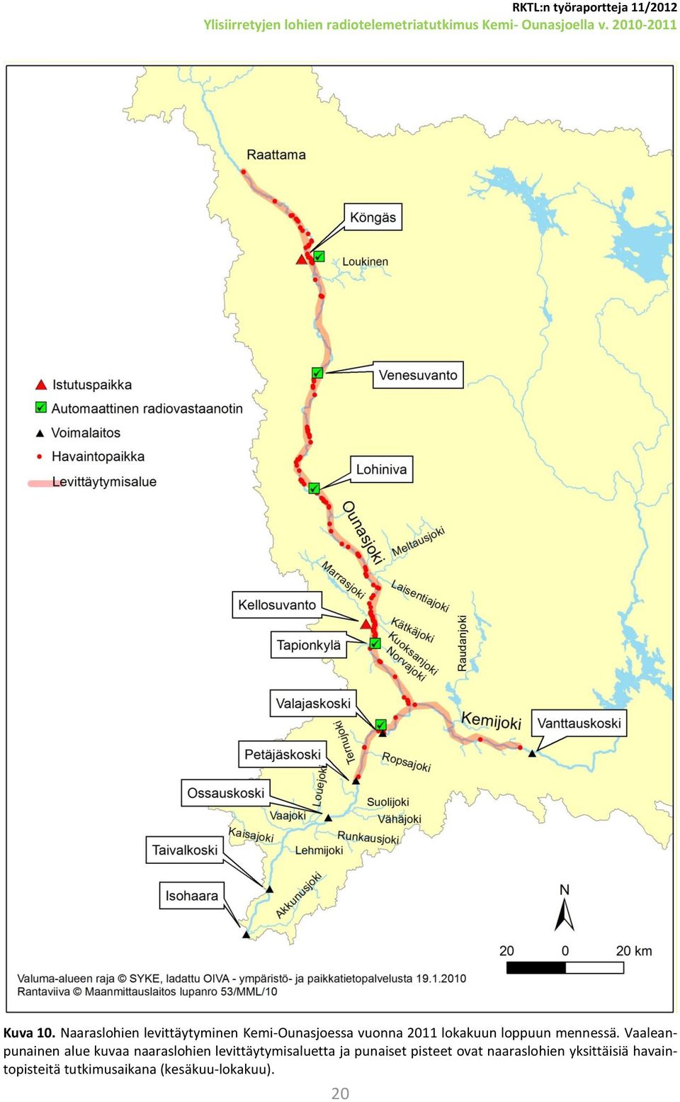 Naaraslohien levittäytyminen Kemi-Ounasjoessa vuonna 2011 lokakuun loppuun mennessä.