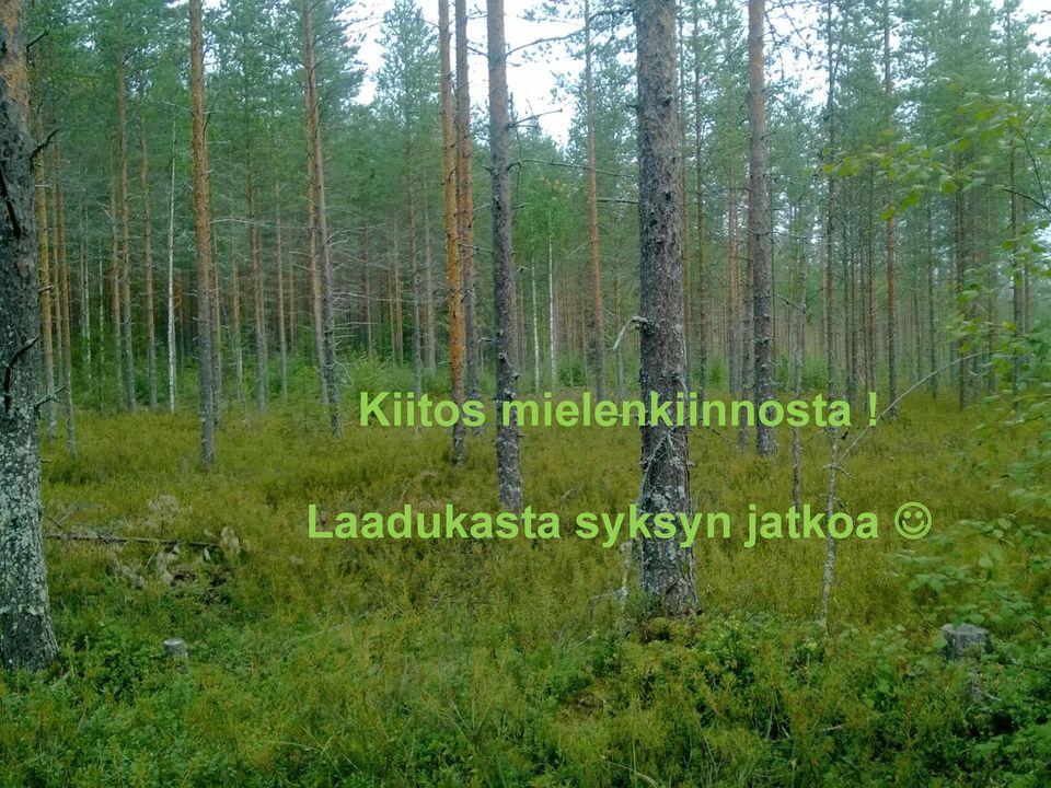 Laadukasta