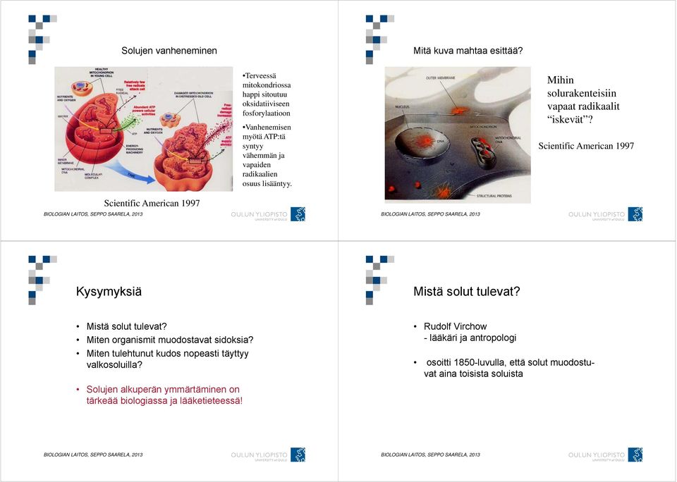 Mihin solurakenteisiin vapaat radikaalit iskevät? Scientific American 1997 Scientific American 1997 Kysymyksiä Mistä solut tulevat?