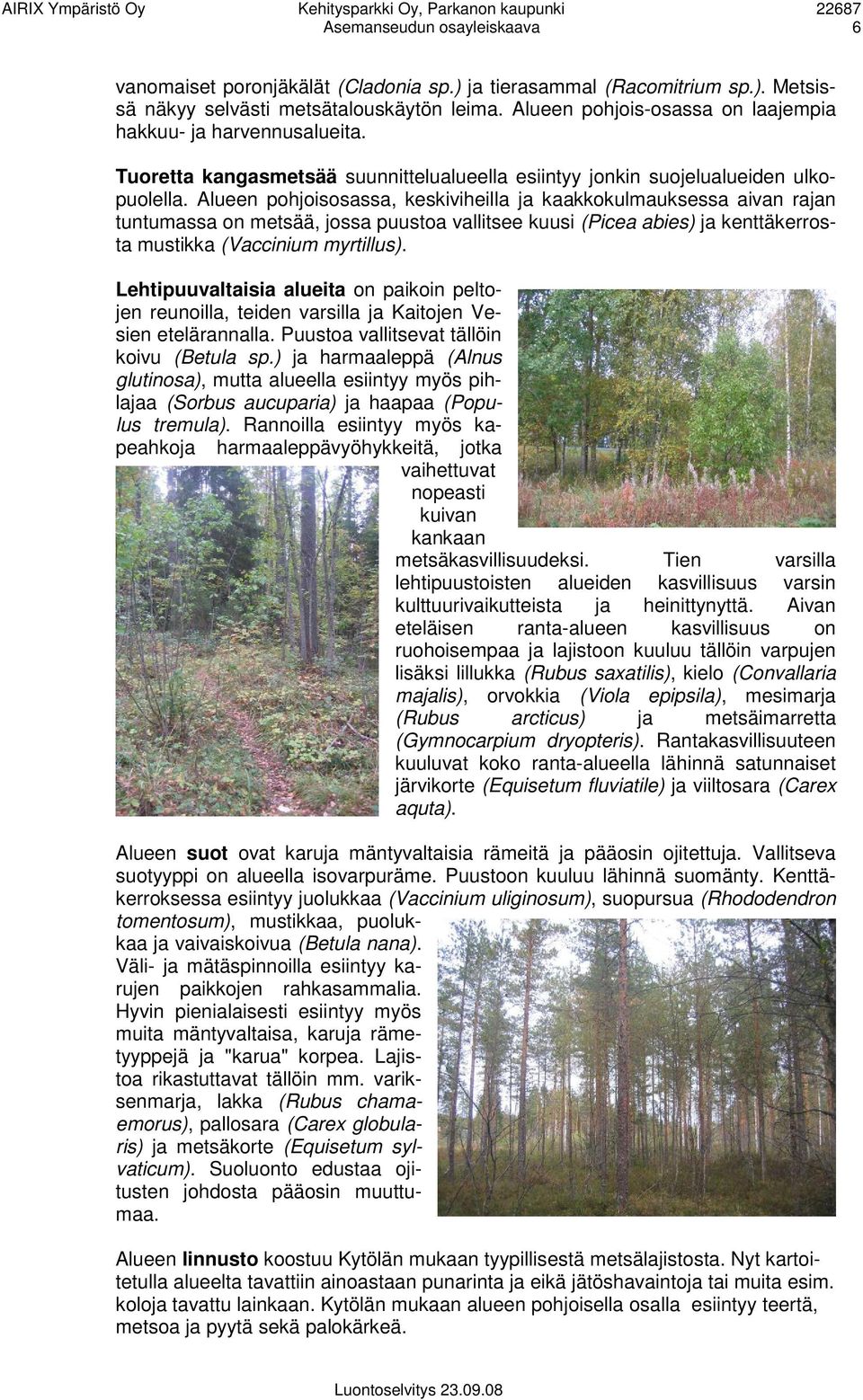 Alueen pohjoisosassa, keskiviheilla ja kaakkokulmauksessa aivan rajan tuntumassa on metsää, jossa puustoa vallitsee kuusi (Picea abies) ja kenttäkerrosta mustikka (Vaccinium myrtillus).