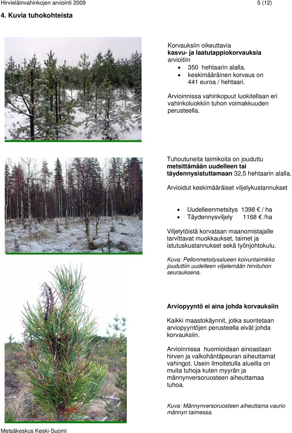 Tuhoutuneita taimikoita on jouduttu metsittämään uudelleen tai täydennysistuttamaan 32,5 hehtaarin alalla.