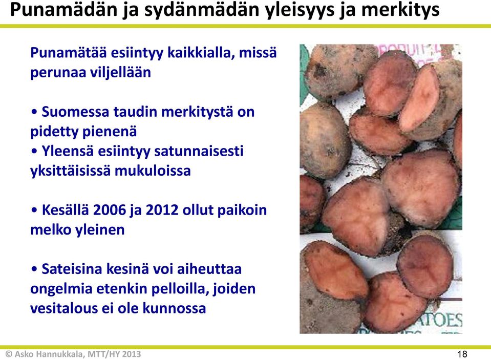 satunnaisesti yksittäisissä mukuloissa Kesällä 2006 ja 2012 ollut paikoin melko