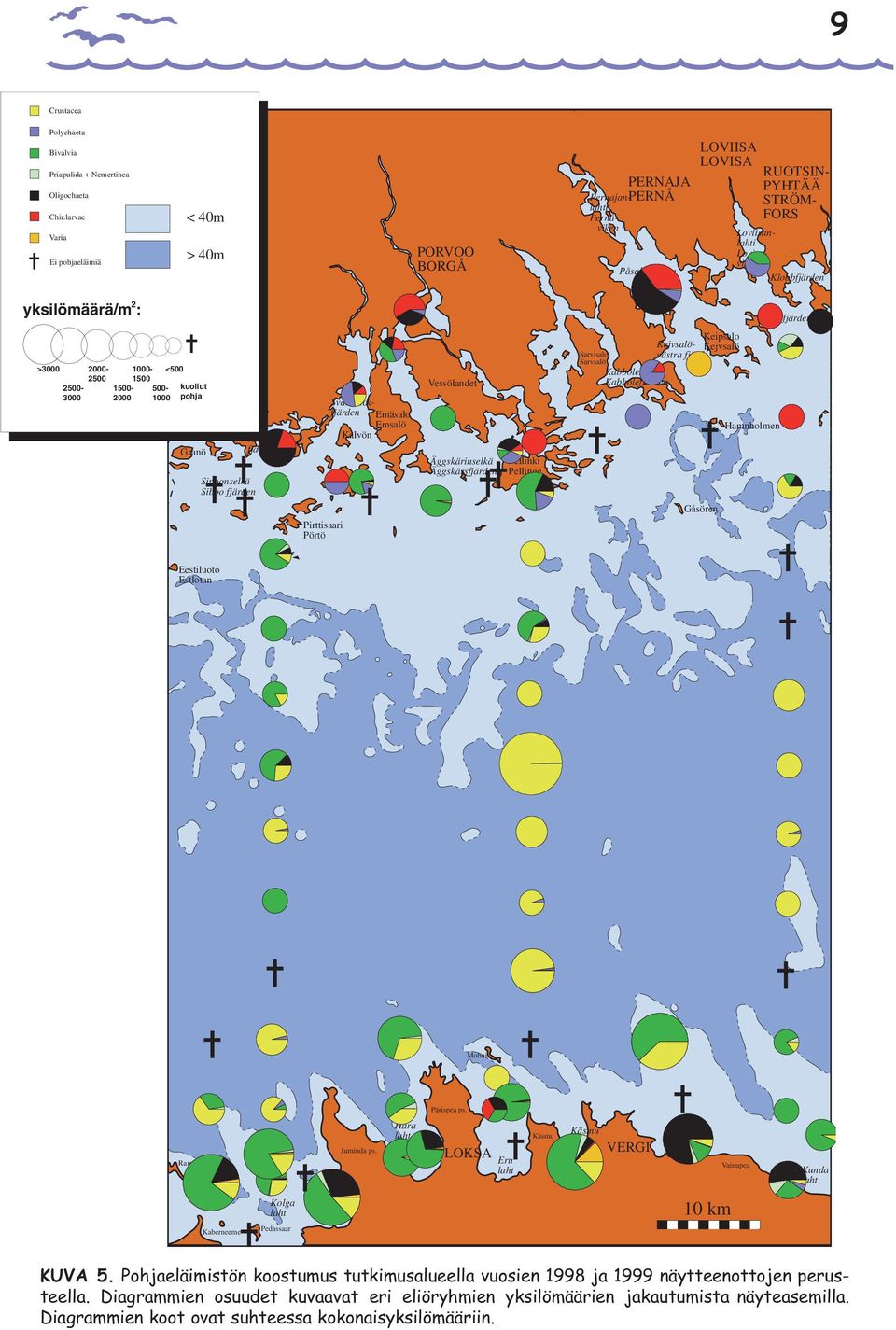 yksilömäärä/m : >3 25-3 2-25 15-2 1-15 5-1 <5 kuollut pohja Granö Eestiluoto Estlotan SIPOO SIBBO Sipoonselkä Sibbo fjärden Pirttisaari Pörtö Kalkbruksfjärden Svartbäckfjärden Emäsalo Emsalö Kalvön
