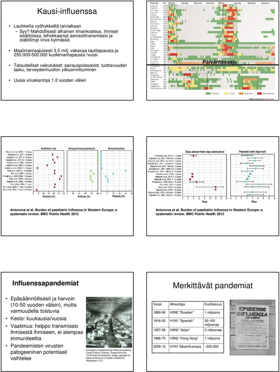 000 kuolemantapausta /vuosi Taloudelliset vaikutukset: sairauspoissaolot, tuottavuuden lasku, terveydenhuollon ylikuormittuminen Päiväntasaaja Uusia viruskantoja 1-2 vuoden välein Antonova et al.