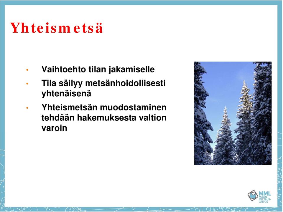 Yhteismetsän muodostaminen Yhteismetsän