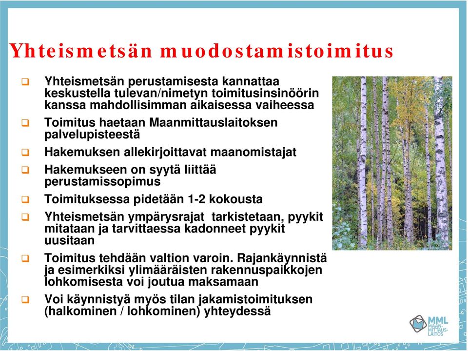 pidetään 1-2 kokousta Yhteismetsän ympärysrajat tarkistetaan, pyykit mitataan ja tarvittaessa kadonneet pyykit uusitaan Toimitus tehdään valtion varoin.