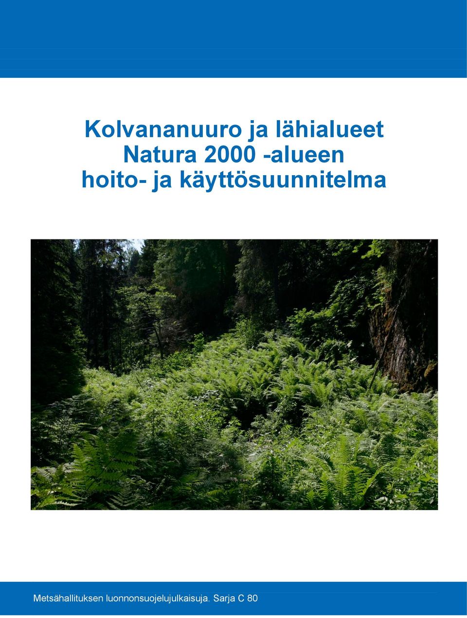 käyttösuunnitelma