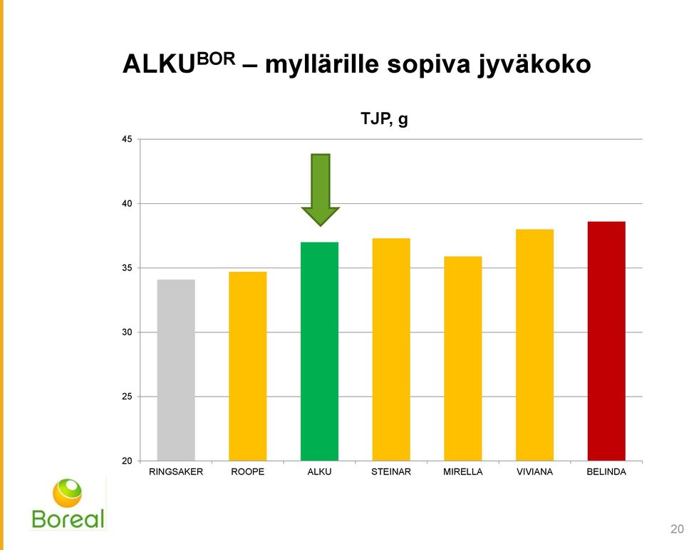25 20 RINGSAKER ROOPE ALKU