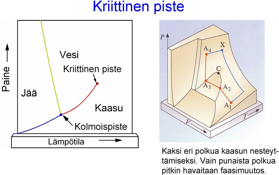 nesteyttämiseksi.