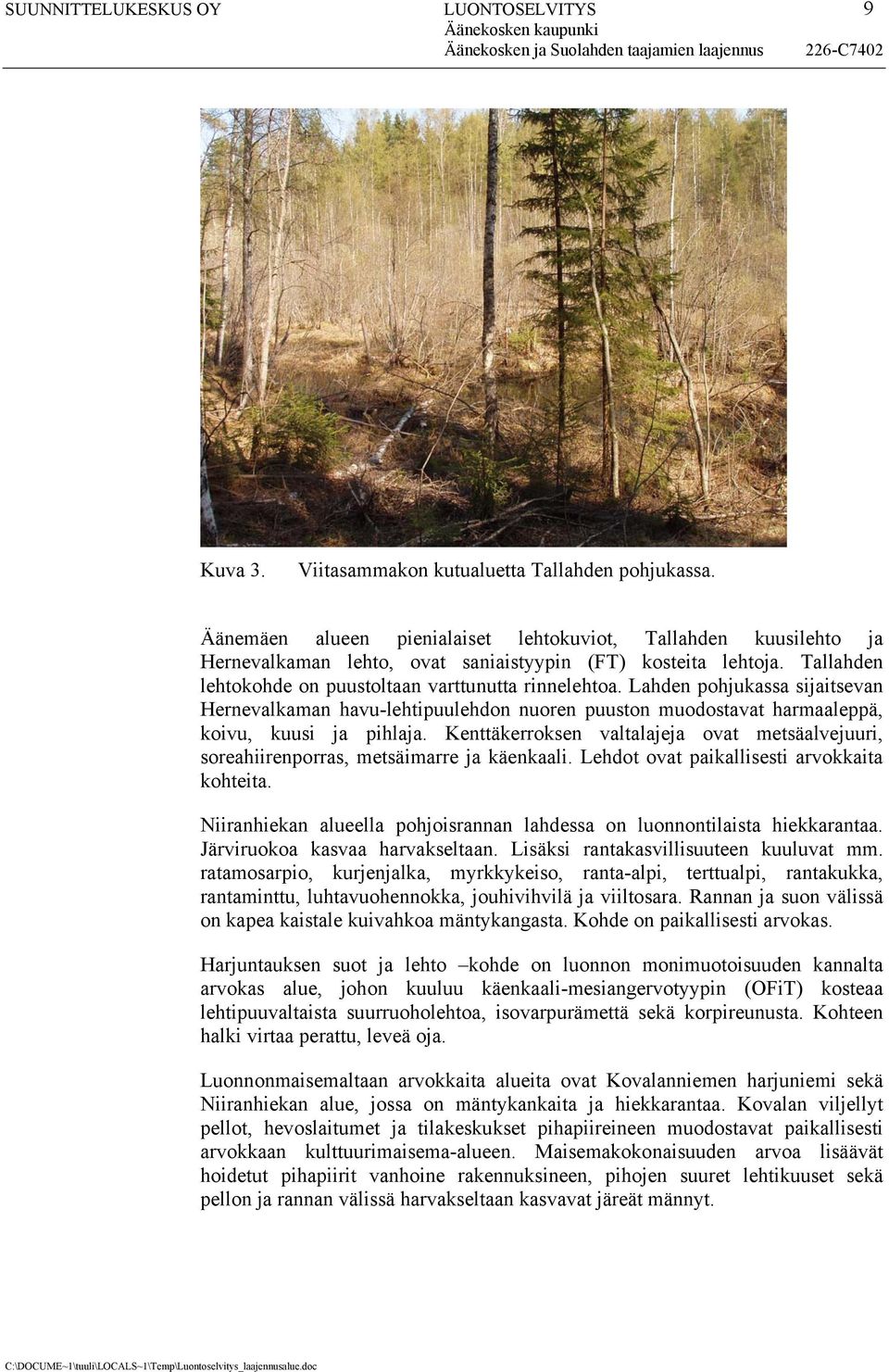 Lahden pohjukassa sijaitsevan Hernevalkaman havu-lehtipuulehdon nuoren puuston muodostavat harmaaleppä, koivu, kuusi ja pihlaja.