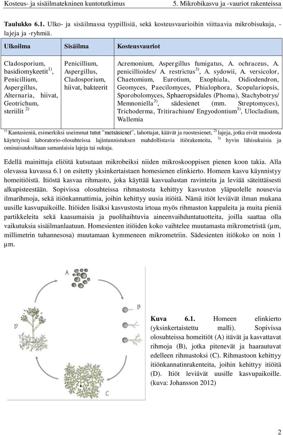 Acremonium, Aspergillus fumigatus, A. ochraceus, A. penicillioides/ A. restrictus 3), A. sydowii, A.