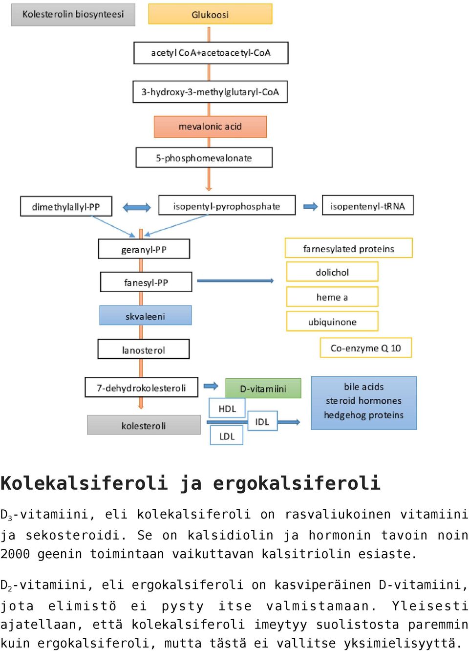 D2-vitamiini, eli ergokalsiferoli on kasviperäinen D-vitamiini, jota elimistö ei pysty itse valmistamaan.