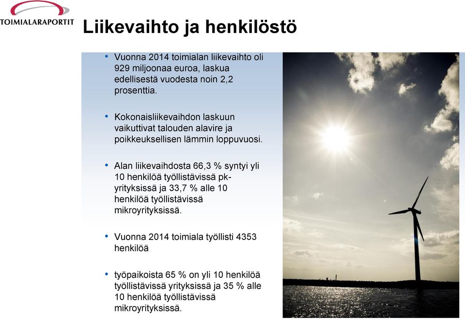 Alan liikevaihdosta 66,3 % syntyi yli 10 henkilöä työllistävissä pkyrityksissä ja 33,7 % alle 10 henkilöä työllistävissä