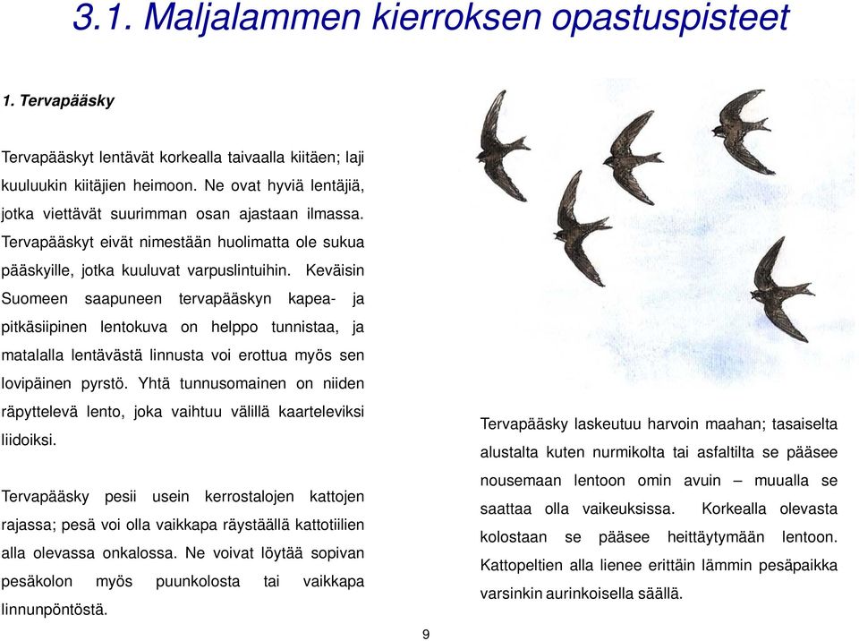 Keväisin Suomeen saapuneen tervapääskyn kapea- ja pitkäsiipinen lentokuva on helppo tunnistaa, ja matalalla lentävästä linnusta voi erottua myös sen lovipäinen pyrstö.