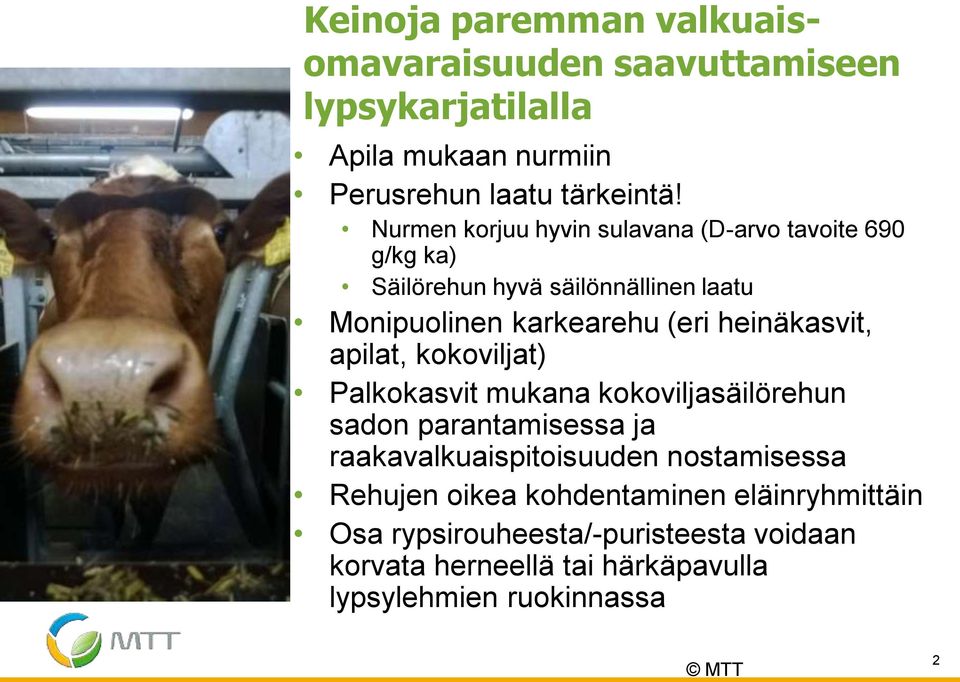 heinäkasvit, apilat, kokoviljat) Palkokasvit mukana kokoviljasäilörehun sadon parantamisessa ja raakavalkuaispitoisuuden