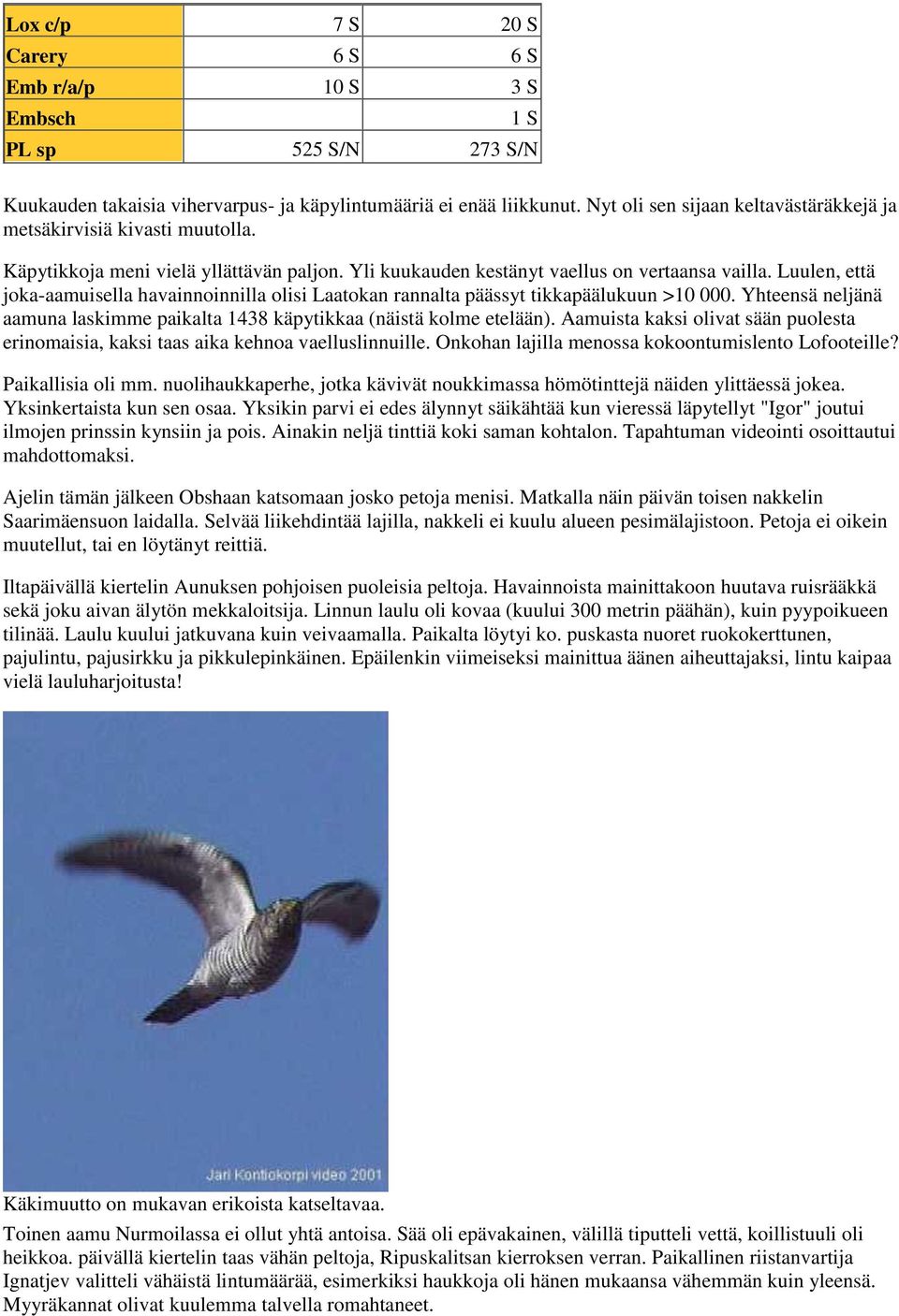 Luulen, että joka-aamuisella havainnoinnilla olisi Laatokan rannalta päässyt tikkapäälukuun >10 000. Yhteensä neljänä aamuna laskimme paikalta 1438 käpytikkaa (näistä kolme etelään).