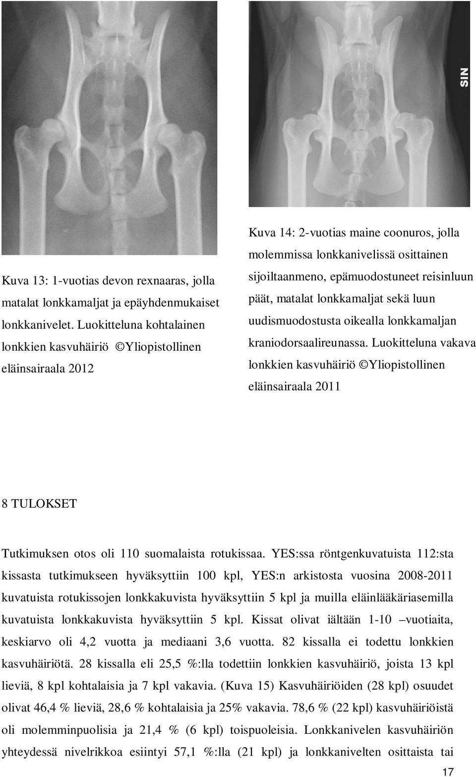 reisinluun päät, matalat lonkkamaljat sekä luun uudismuodostusta oikealla lonkkamaljan kraniodorsaalireunassa.