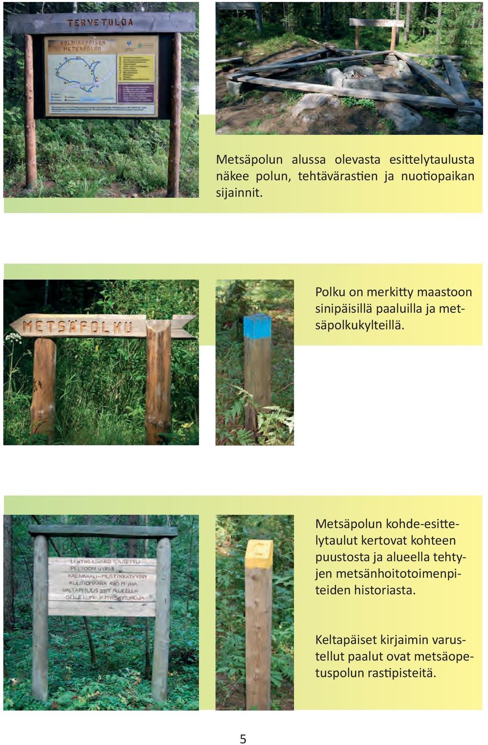 Metsäpolun kohde-esittelytaulut kertovat kohteen puustosta ja alueella tehtyjen