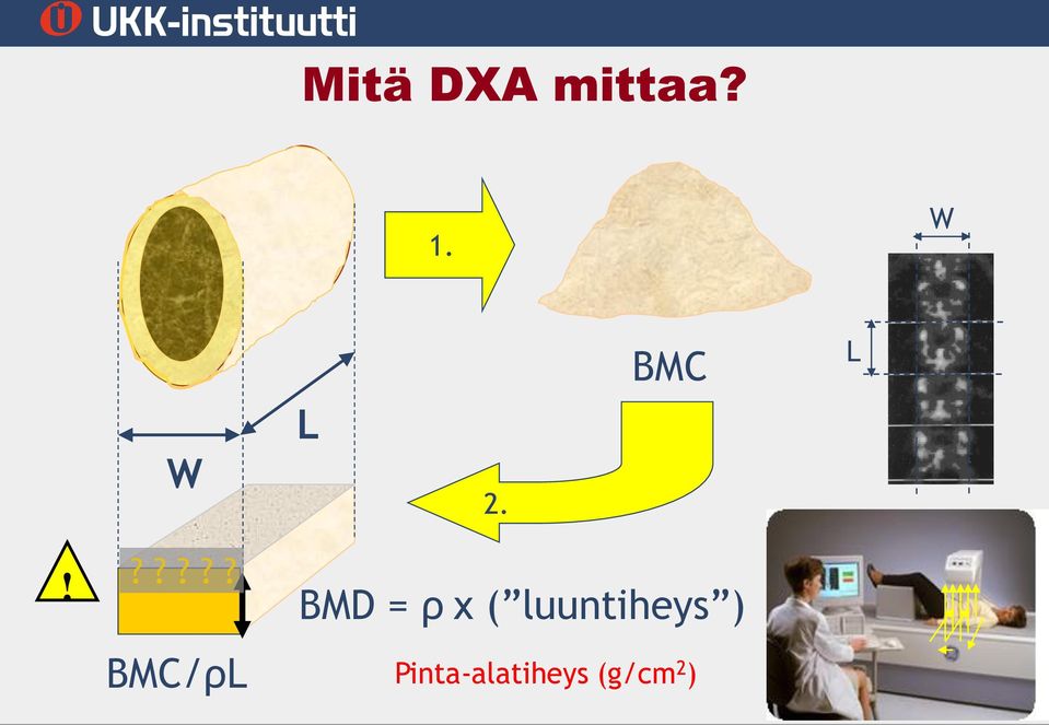 ????? BMC/ρL BMD = ρ x (