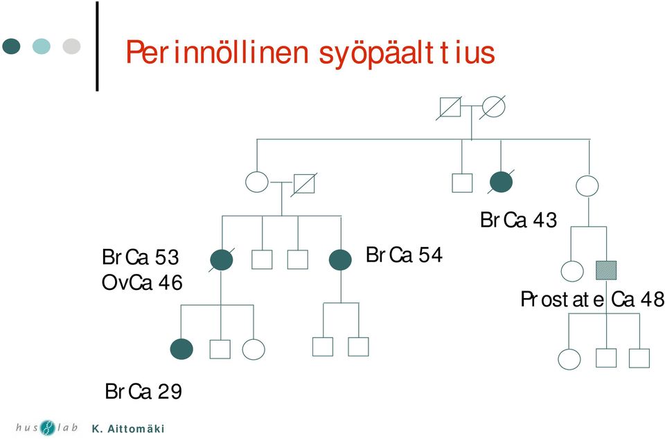 OvCa 46 BrCa 54 BrCa