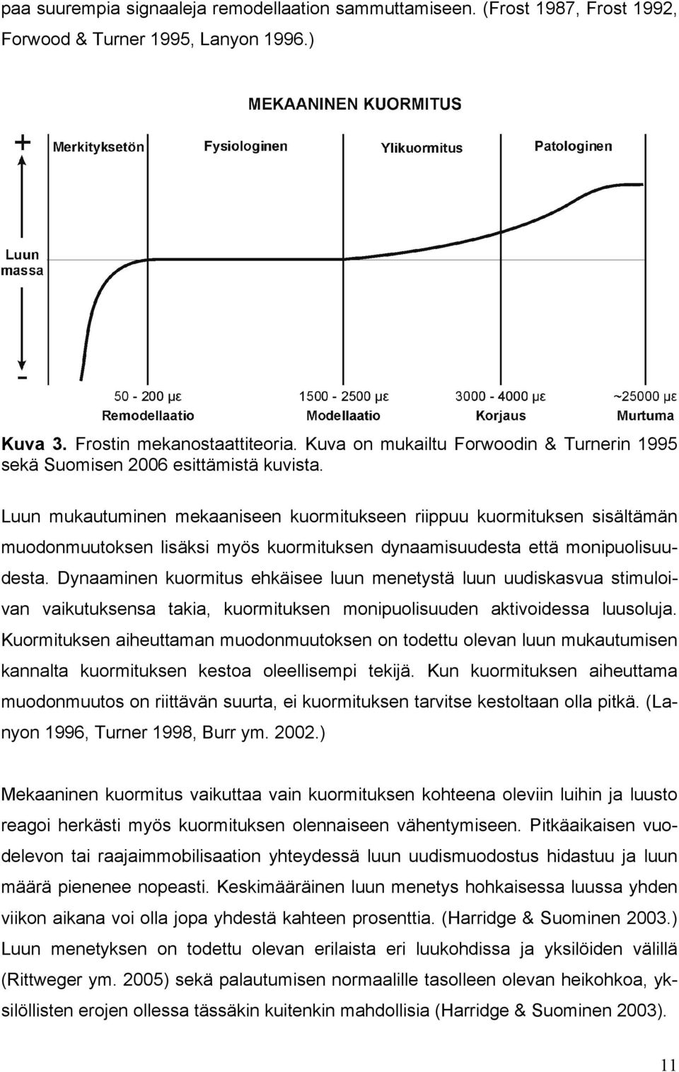 Luun mukautuminen mekaaniseen kuormitukseen riippuu kuormituksen sisältämän muodonmuutoksen lisäksi myös kuormituksen dynaamisuudesta että monipuolisuudesta.