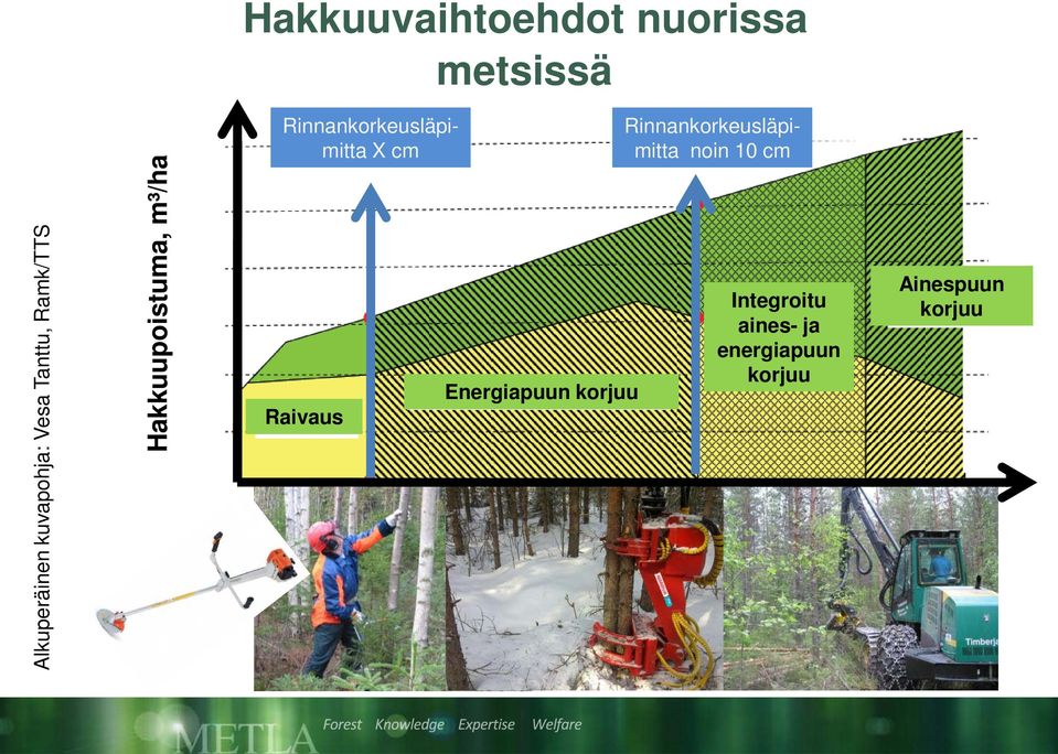 Rinnankorkeusläpimitta X cm Raivaus Energiapuun korjuu