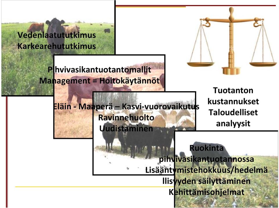 Uudistaminen Tuotanton kustannukset Taloudelliset analyysit Ruokinta