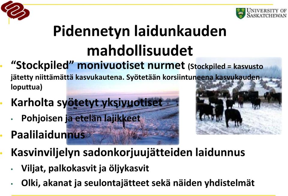 etelän lajikkeet Paalilaidunnus Pidennetyn laidunkauden mahdollisuudet Kasvinviljelyn