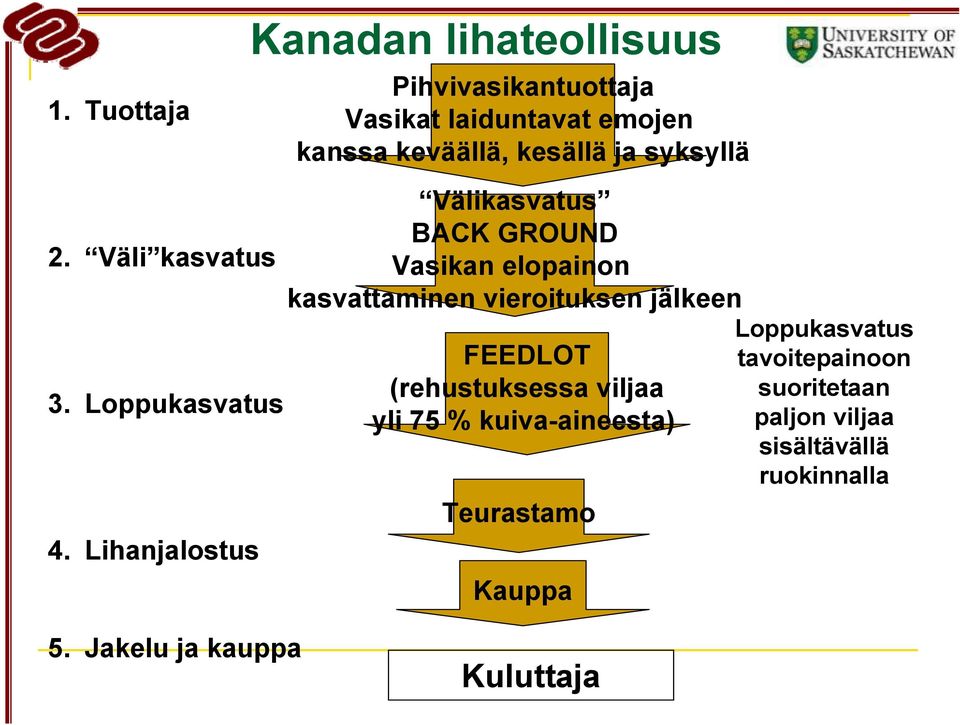 kesällä ja syksyllä Välikasvatus BACK GROUND Vasikan elopainon kasvattaminen vieroituksen jälkeen FEEDLOT