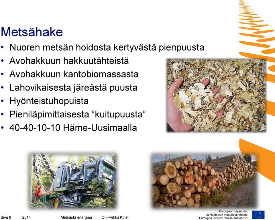 Lahovikaisesta järeästä puusta Hyönteistuhopuista